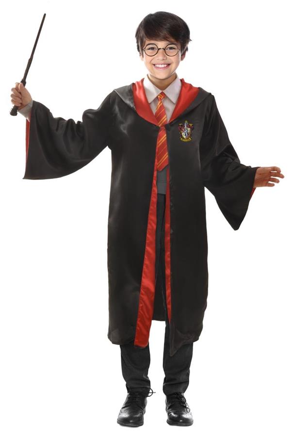 I4. IL COSTUME DI HARRY POTTER