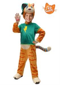 Flash 44 Cats COSTUME